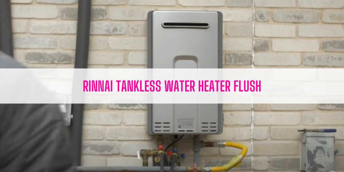 Rinnai Tankless Water Heater Flush