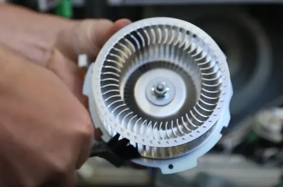 Cleaning the fan motor and blades