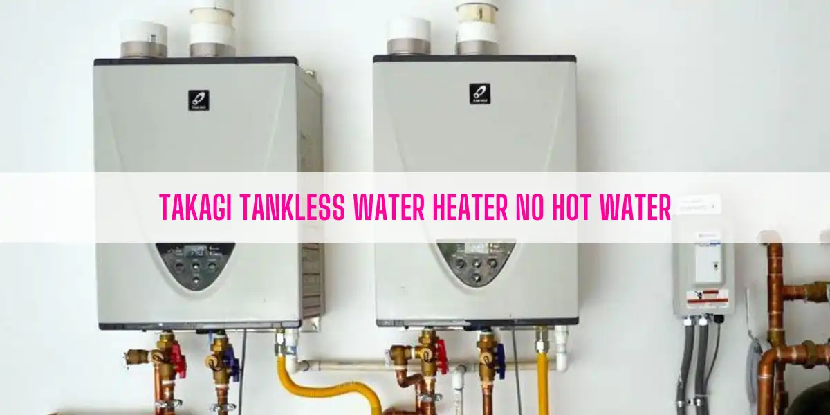 Takagi Tankless Water Heater No Hot Water