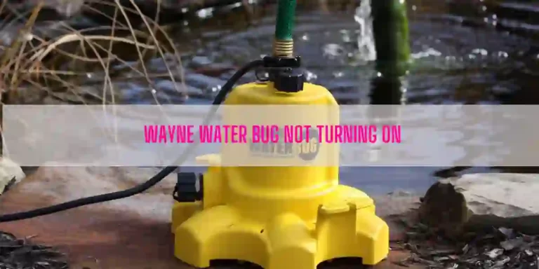 Wayne Water Bug Not Turning On