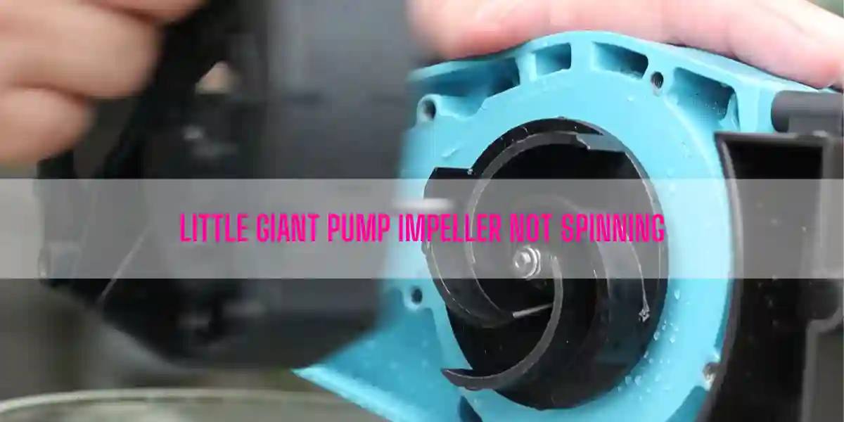 Little Giant Pump Impeller Not Spinning