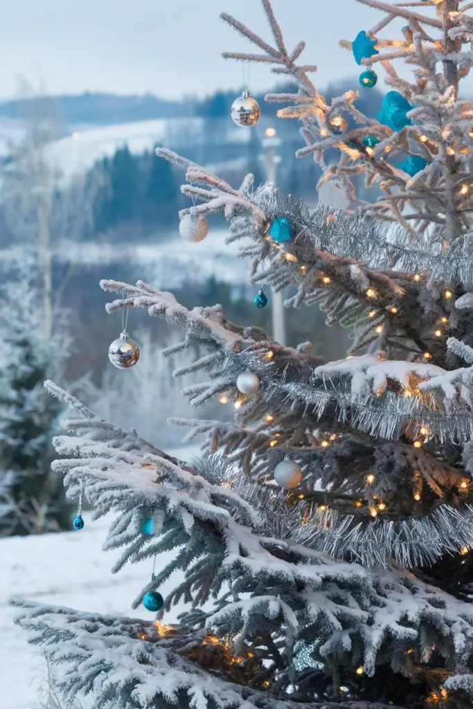 Snowy Flocked Tree