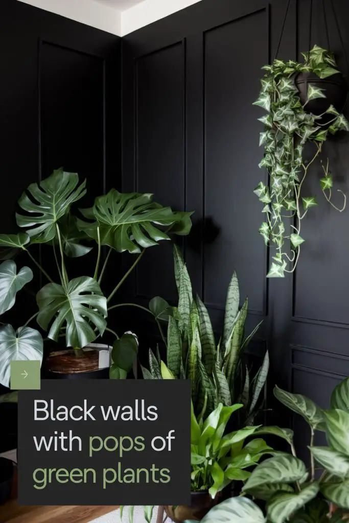 Black Walls with Pops of Green Plants