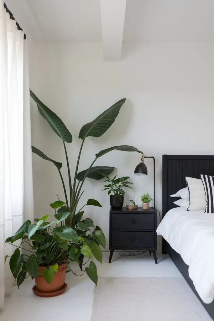 Decorate with Dark Furniture and Natural Greenery