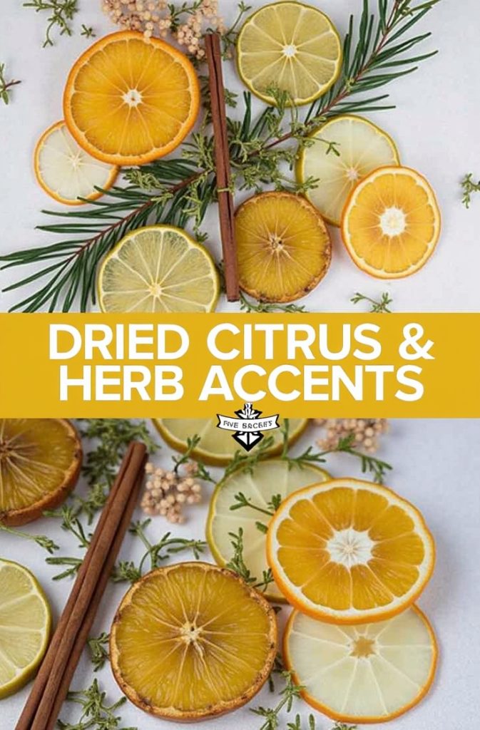Dried Citrus and Herb Accents