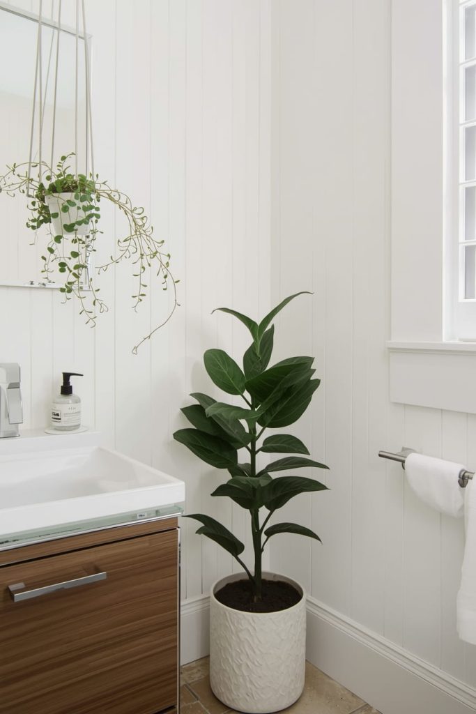 Floating Vanity Focus